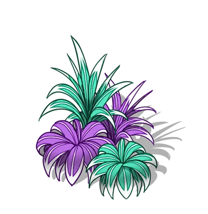 Scholara tier 1